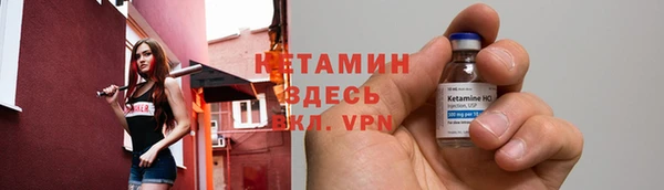 крисы Вязники