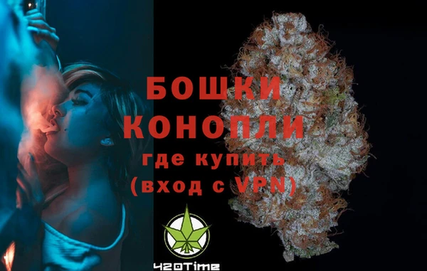 гашик Вязьма