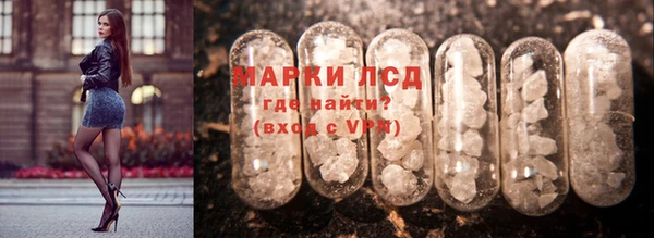 гашик Вязьма